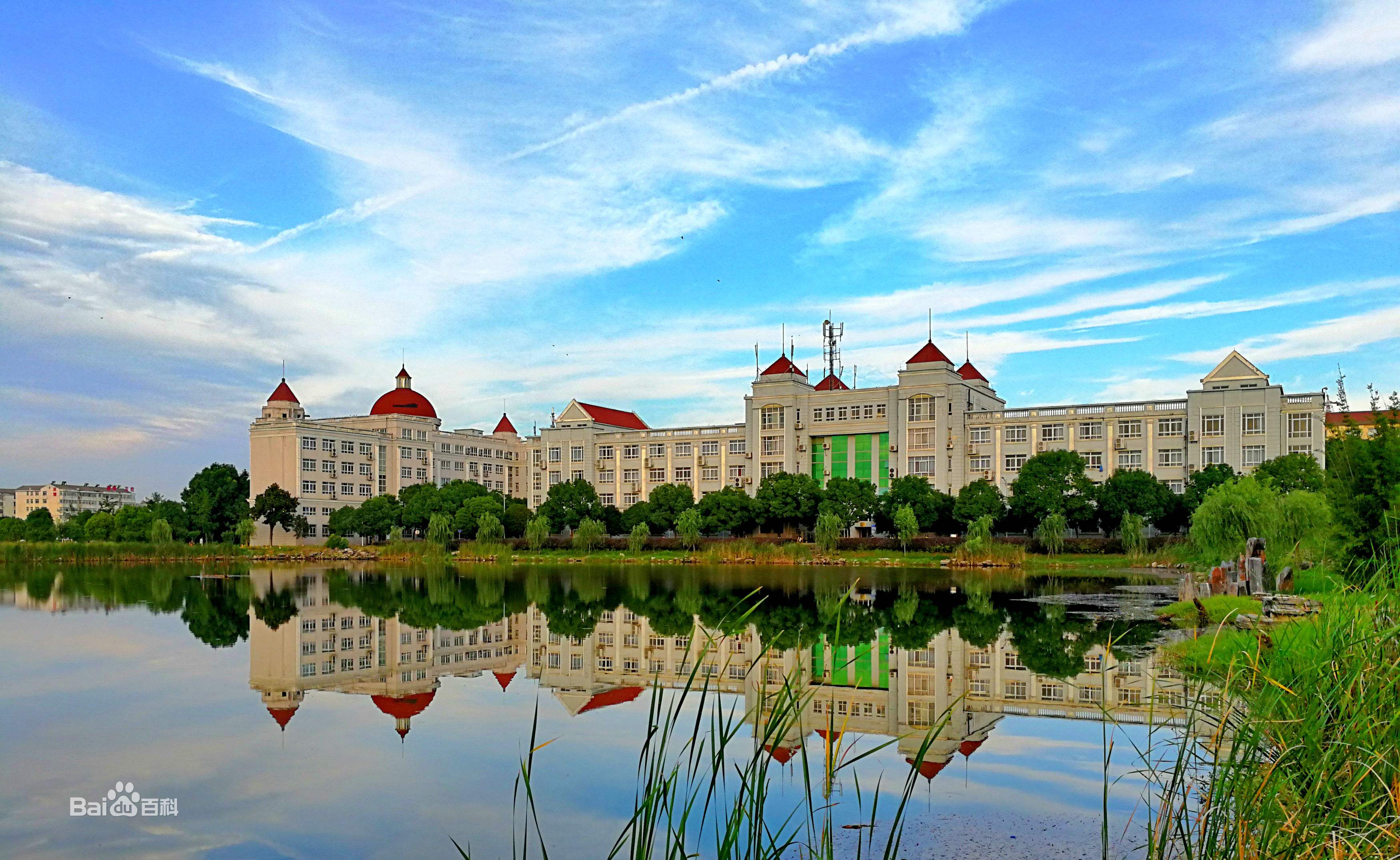 教你如何在网上找上海自考报考资讯(图1)