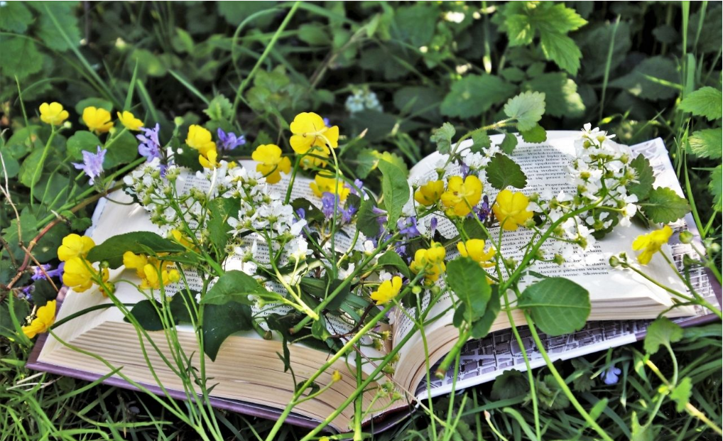 2020年上海10月自学考试报名需要哪些条件？(图1)