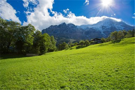 上海市2020年自考大专免考政策办理流程(图1)