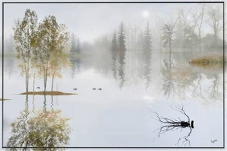 上海市2020年自考大专难度高吗?(图1) 上海市2020年自考大专难度高吗?(图1)