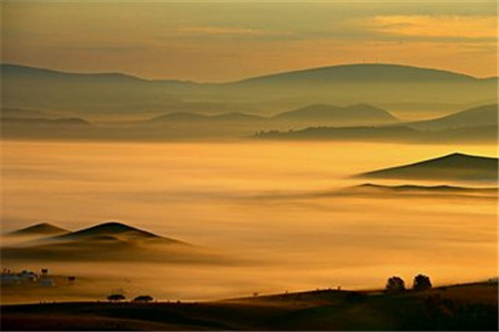 上海市自考专升本报错科目怎么办?(图1)