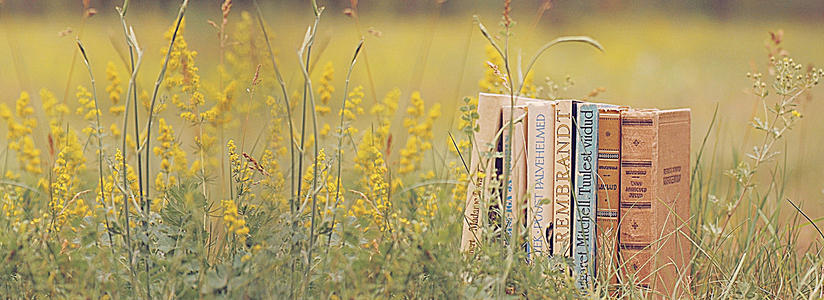 上海市自考文凭对工作有什么提升吗?(图1) 上海市自考文凭对工作有什么提升吗?(图1)