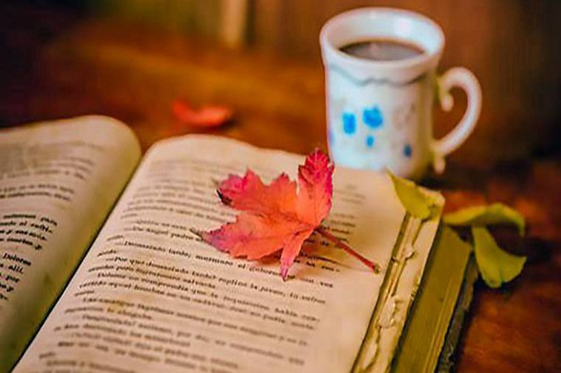 自学考试本科要考几科?(图1) 自学考试本科要考几科?(图1)