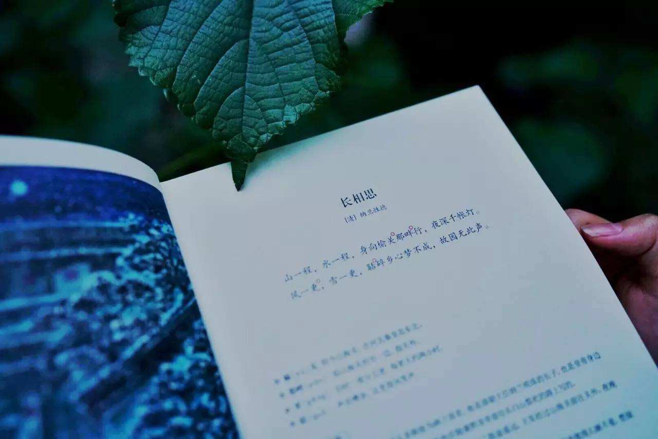 上海市专升本和自考的区别是什么呢?(图1) 上海市专升本和自考的区别是什么呢?(图1)