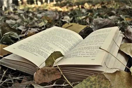 上海自考法律专业难度大不大?(图1) 上海自考法律专业难度大不大?(图1)