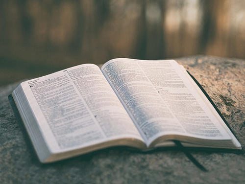 2021年上海闵行区自考什么时候考试?报名的流程是什么?(图1) 2021年上海闵行区自考什么时候考试?报名的流程是什么?(图1)