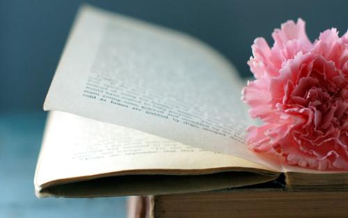 2021年上海自考可以自己选择科目吗？(图1)