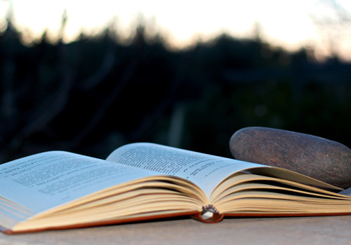 2021年上海社会型自考和应用型自考的区别?(图1) 2021年上海社会型自考和应用型自考的区别?(图1)