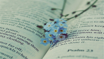 2021上海自考注册考籍时间是什么时候?(图1) 2021上海自考注册考籍时间是什么时候?(图1)