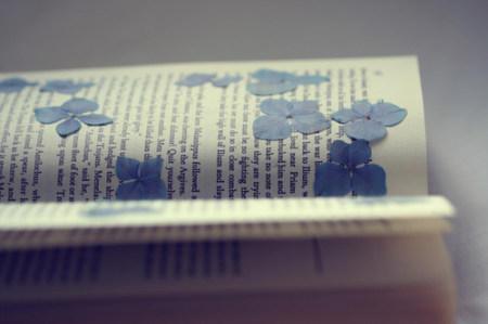 2021上海自考填空题怎么做?有什么技巧?(图1) 2021上海自考填空题怎么做?有什么技巧?(图1)