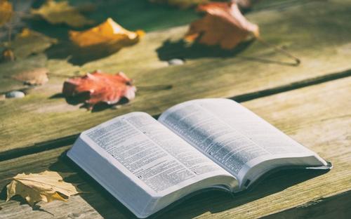 2021上海交通大学自考本科学士学位申请条件(图1) 2021上海交通大学自考本科学士学位申请条件(图1)