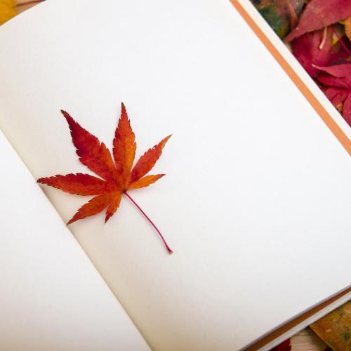 2021上海自考转考如何申请?(图1) 2021上海自考转考如何申请?(图1)