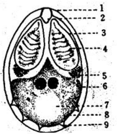 4ti.png 2019年自考《水产动物疾病防治》习题及答案(图1)