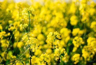 上海市准考证有效期多久?有规定几年内考完吗?(图1) 上海市准考证有效期多久?有规定几年内考完吗?(图1)