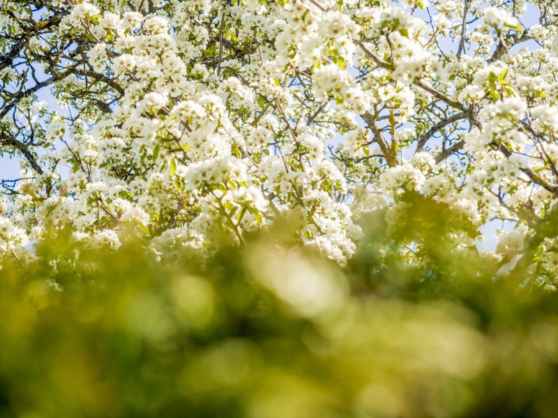 上海市周末自考小技巧(图1) 上海市周末自考小技巧(图1)
