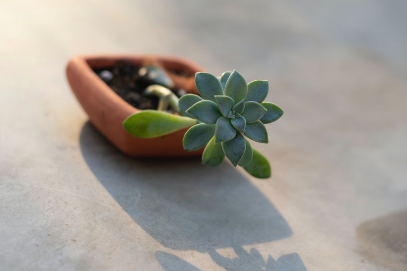 上海市10月自考掌握这些技巧,考试稳了!(图1) 上海市10月自考掌握这些技巧,考试稳了!(图1)