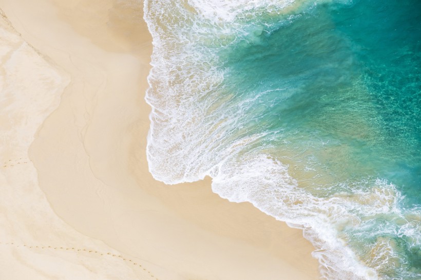 上海市自考本科有什么考试科目(图1)