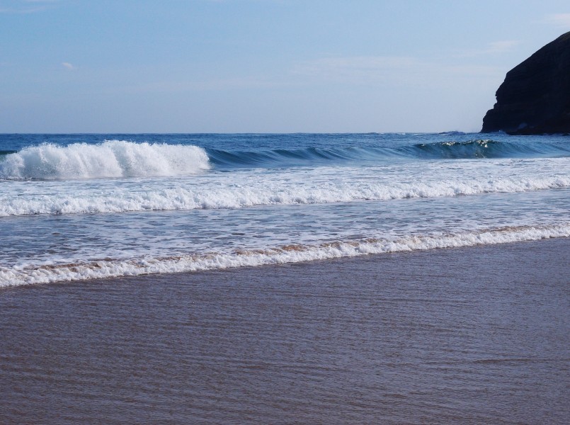 上海市自考怎么在网上查询成绩?(图1) 上海市自考怎么在网上查询成绩?(图1)
