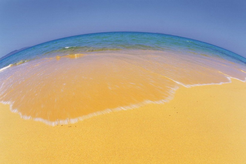 上海市自考你还在坚持吗?(图1) 上海市自考你还在坚持吗?(图1)