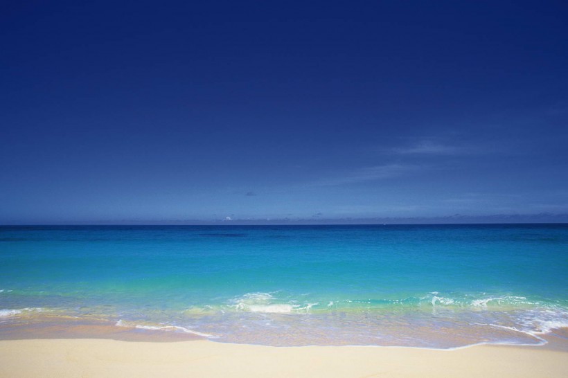 上海市自考缺考怎么处理?被记入诚信档案怎么办?(图1) 上海市自考缺考怎么处理?被记入诚信档案怎么办?(图1)