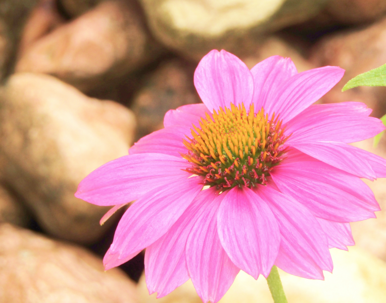 上海市13种自学考试学习技巧(图1) 上海市13种自学考试学习技巧(图1)