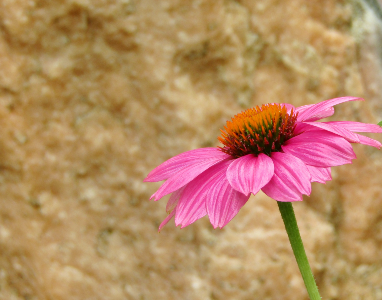 上海2020年自考该如何提高自考效率?(图1) 上海2020年自考该如何提高自考效率?(图1)