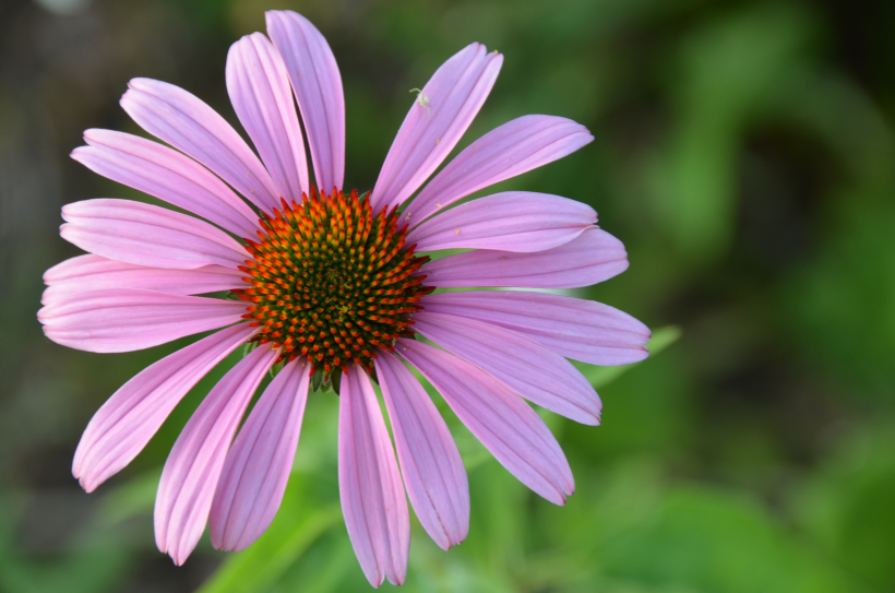 上海市自考考过的题目下一次还会继续考吗？(图1)