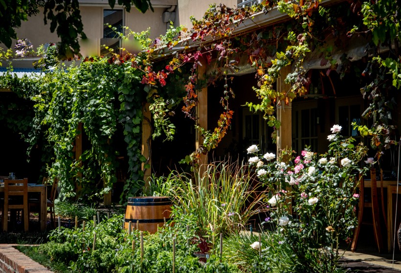 上海市自考备考攻略(图1) 上海市自考备考攻略(图1)