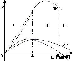 西方经济学学习笔记 一种可变生产要素的生产函(图5) 西方经济学学习笔记 一种可变生产要素的生产函(图5)