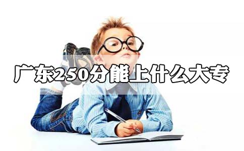 上海250分能上什么大专?(图1)