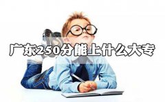 上海250分能上什么大专?