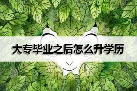 大专毕业之后怎么升学历?(图1) 大专毕业之后怎么升学历?(图1)