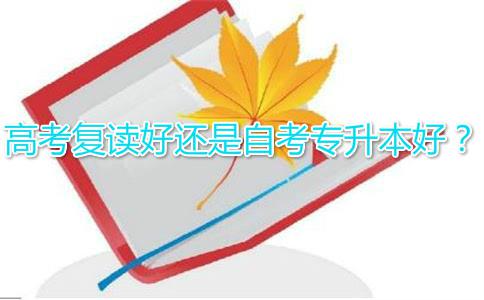 18年选择高考复读好还是自考专升本好?(图1) 18年选择高考复读好还是自考专升本好?(图1)